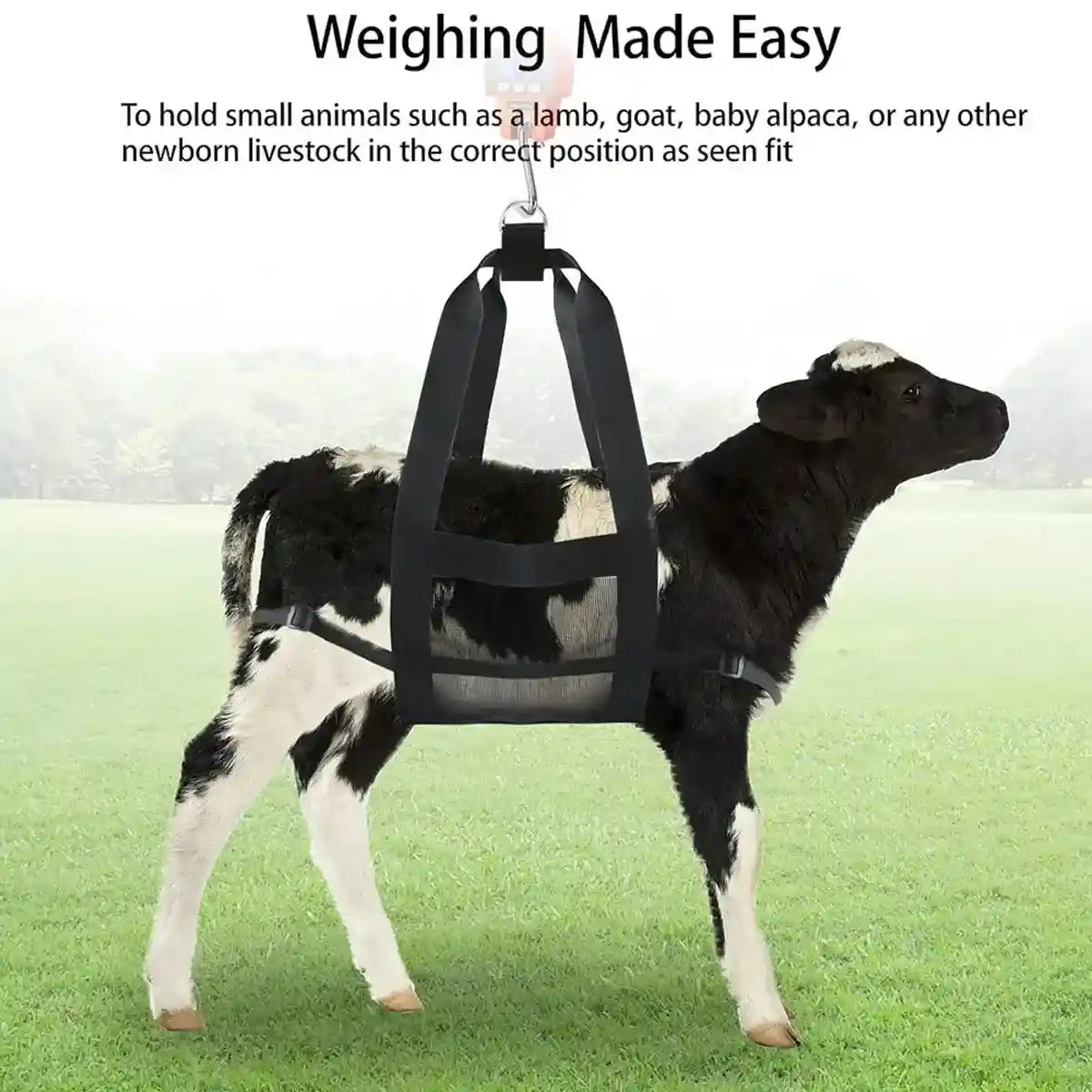 Durable Hanging Animal Weighing Sling for Lambs Goats Calves