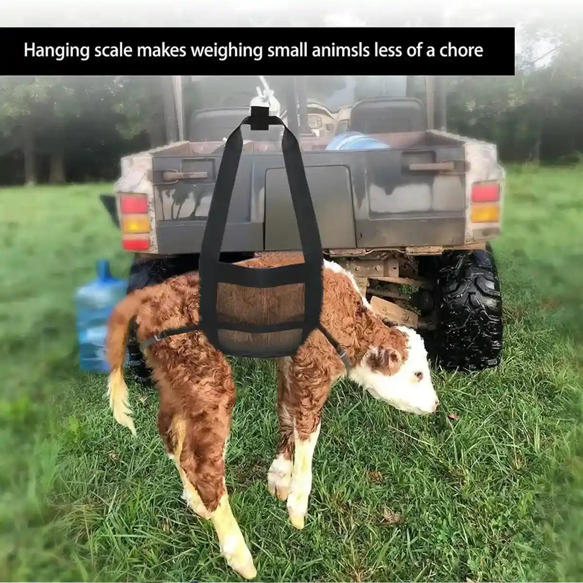 Durable Hanging Animal Weighing Sling for Lambs Goats Calves