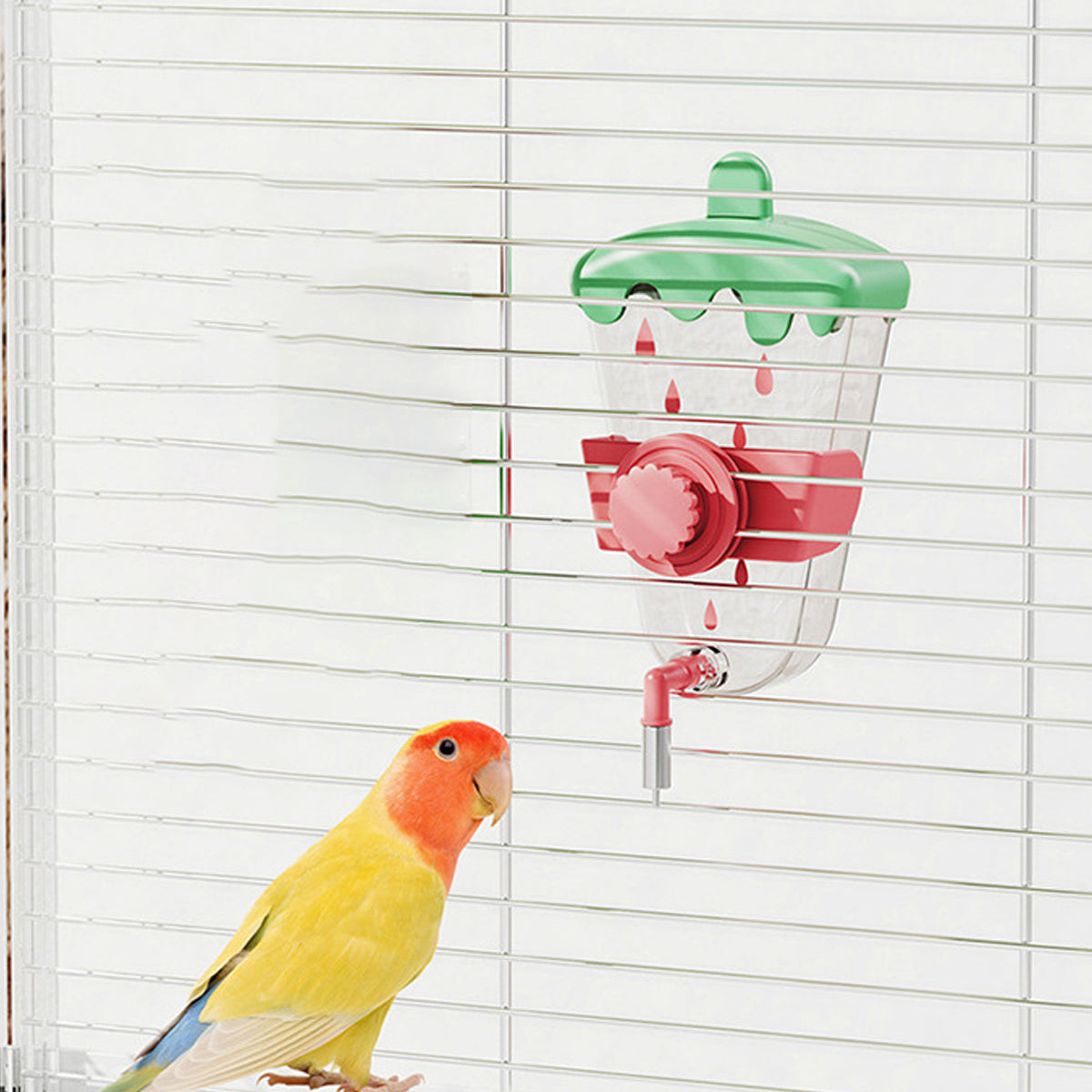 Parrot Hanging Automatic Water Dispenser