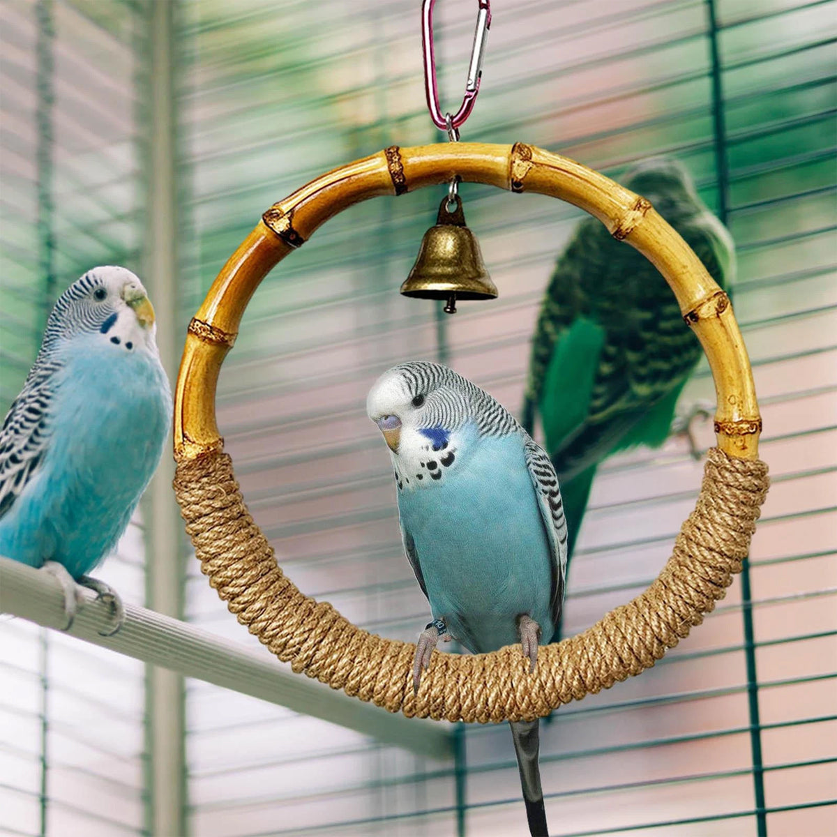 Hanging Bird Toy Natural Bamboo Ring Perch with Bell