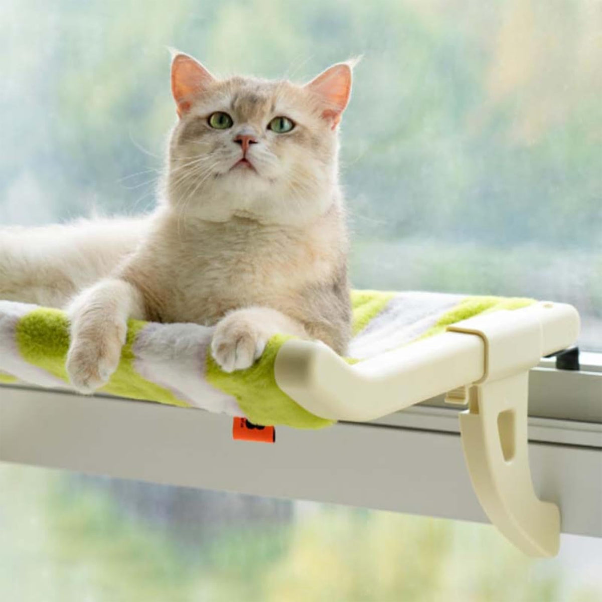 Hanging Cat Hammock Bed Durable Stable for Window Indoor Pet Sleeping Resting