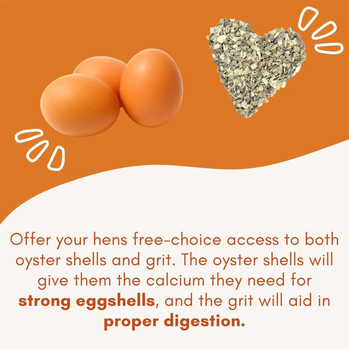 Hanging Chicken Feeder Automatic Refill Chicken Feeder for Hens Poultry Farm