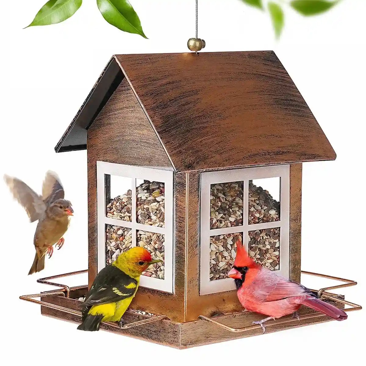 Hanging Metal Bird Feeder – Weatherproof Outdoor Bird Seed Feeder