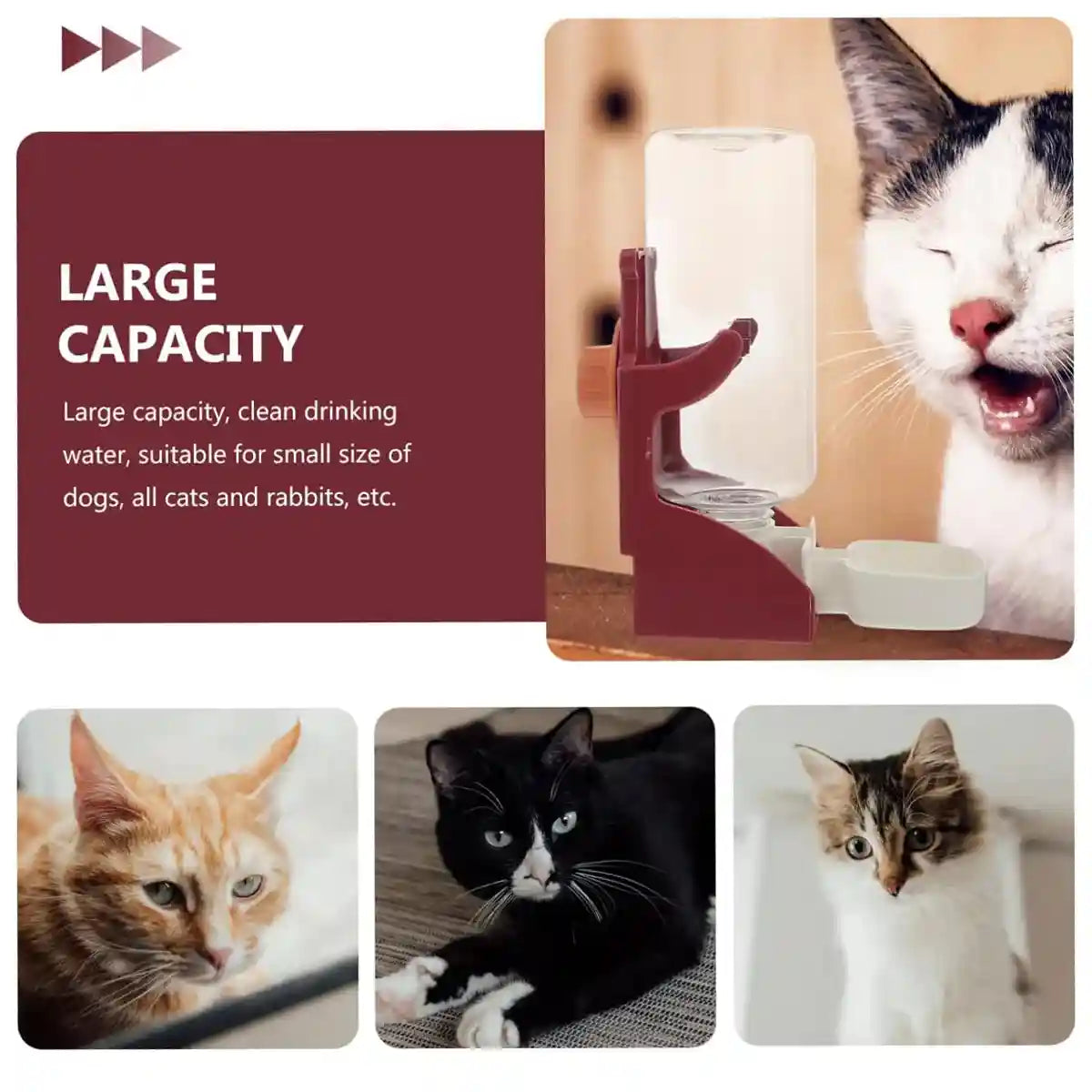 Hanging Bird Water Bottle 500ml