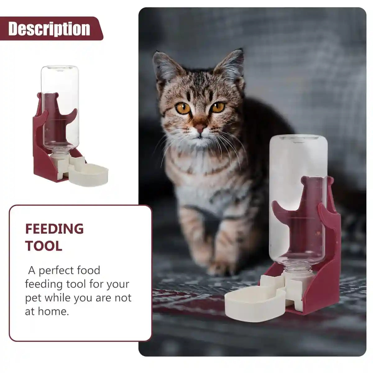 Hanging Bird Water Bottle 500ml