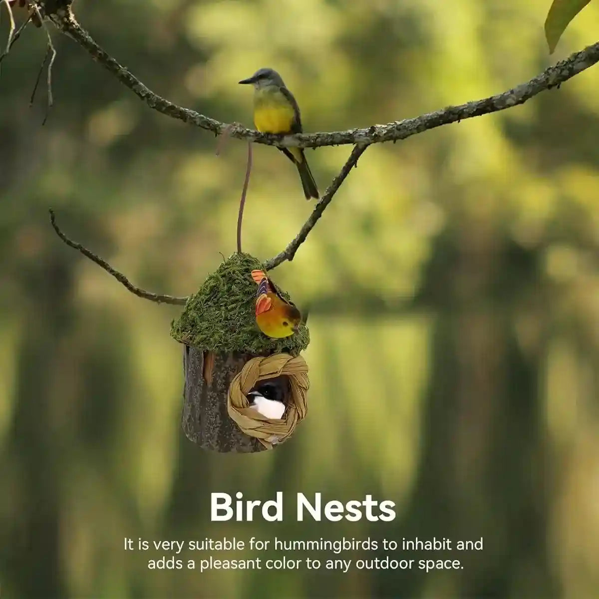 Whimsical Garden Decor with Hanging Birdhouse in Mushroom Style