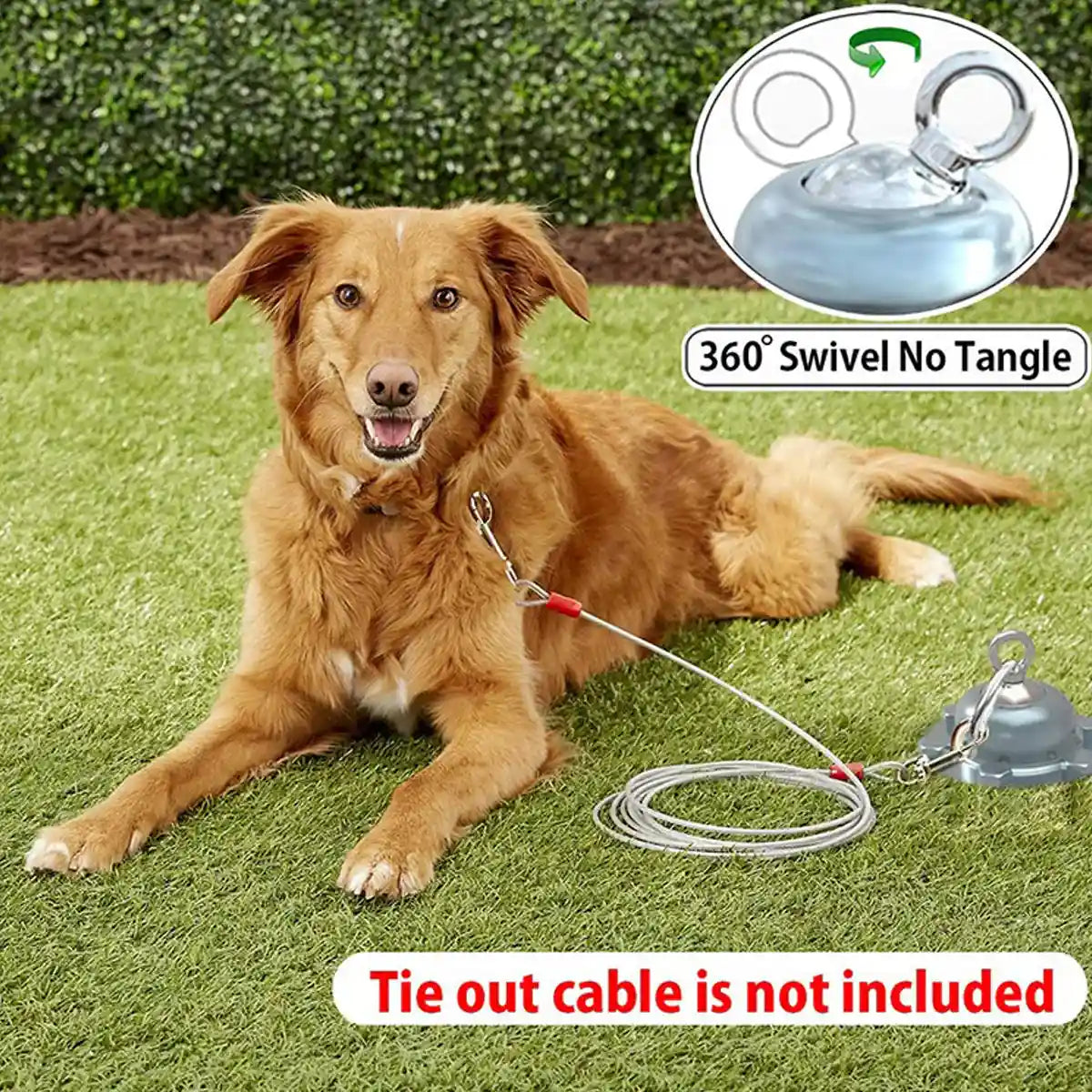 Heavy Duty Dog Stake with 360 Degree Swivel Base