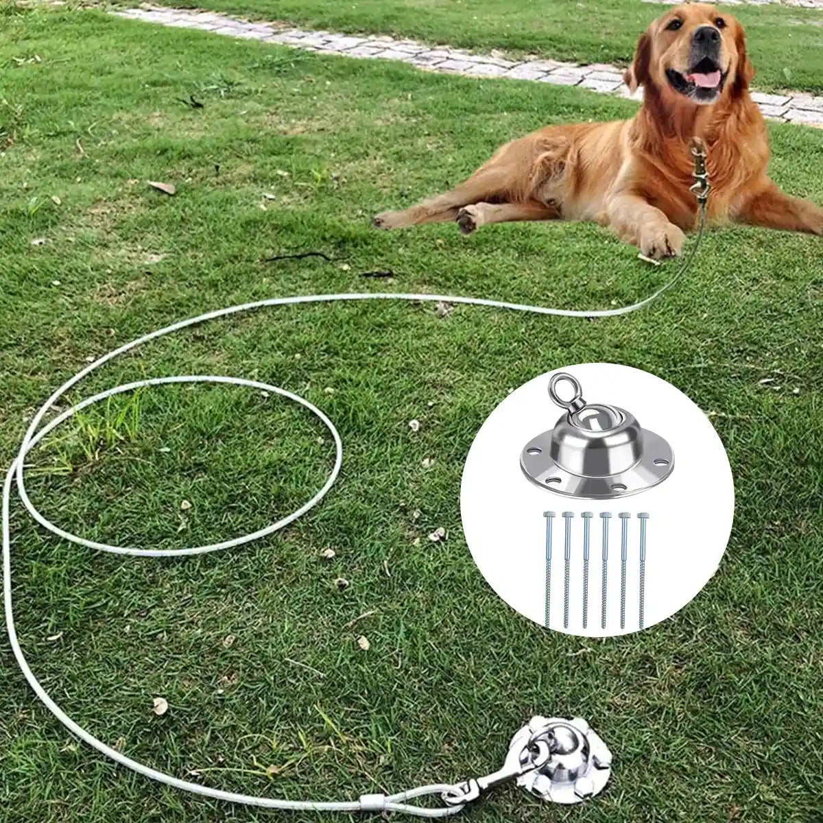 Heavy Duty Dog Stake with 360 Degree Swivel Base