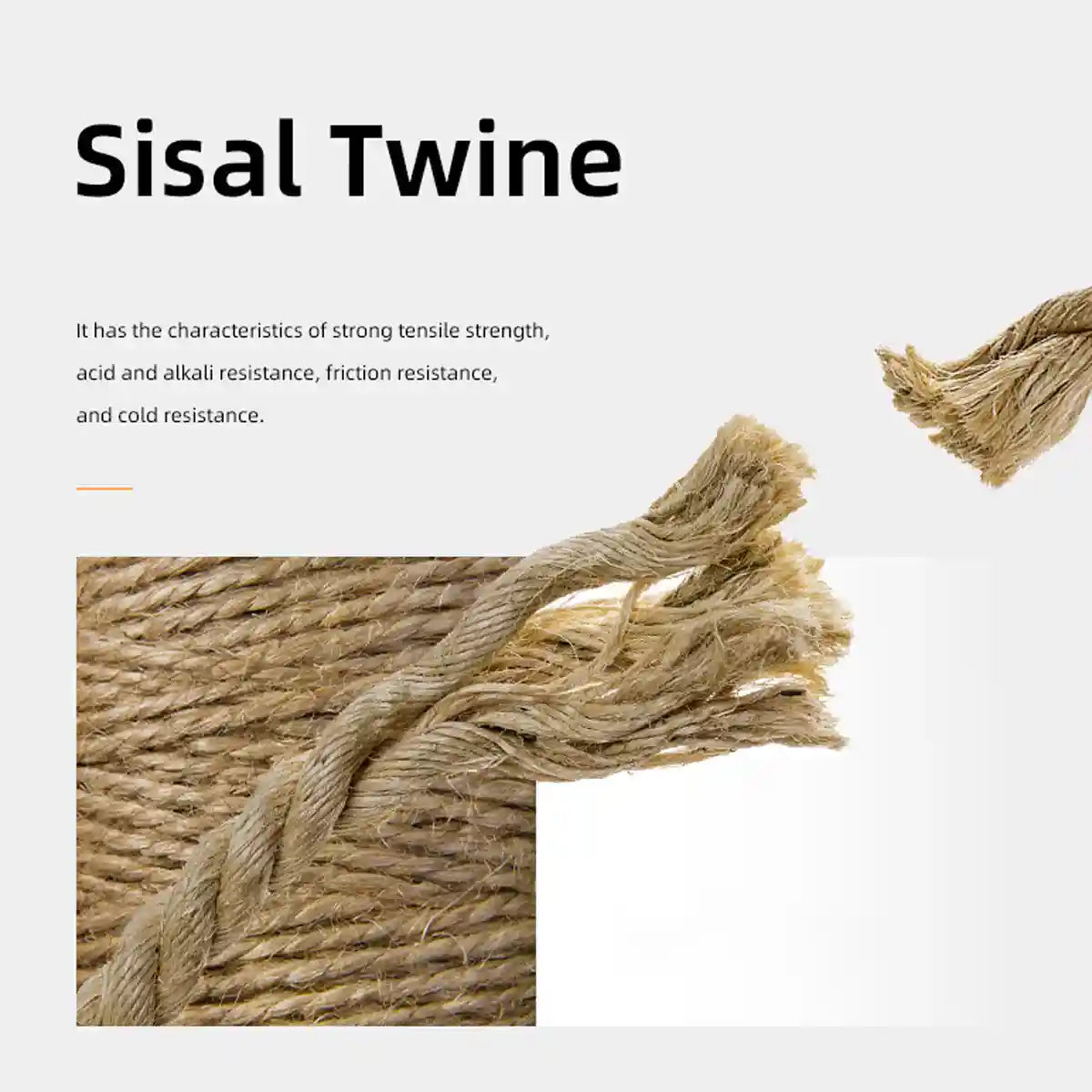 Luxury Eggshell Cat Scratching Nest for Lounging and Claw Care