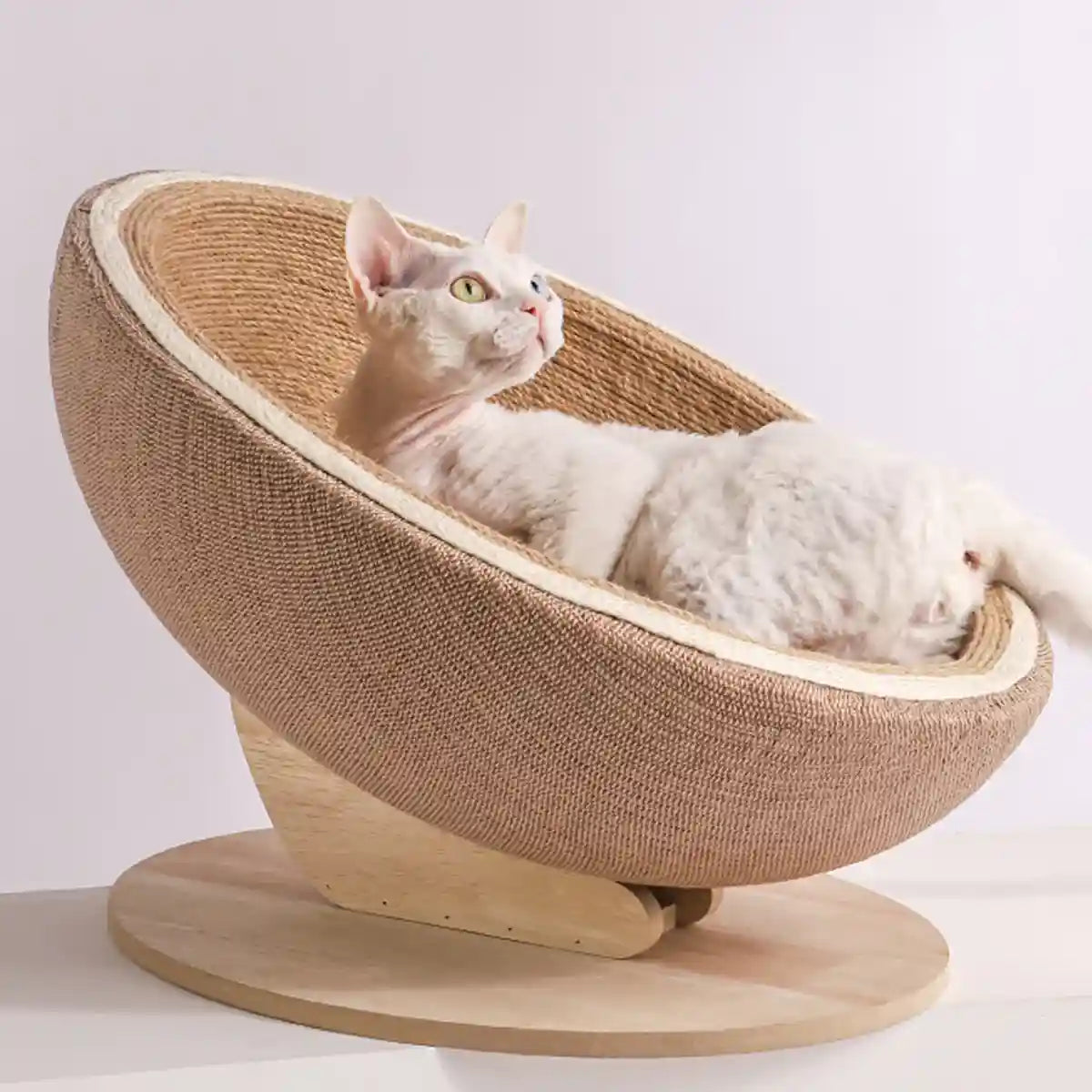 Luxury Eggshell Cat Scratching Nest for Lounging and Claw Care