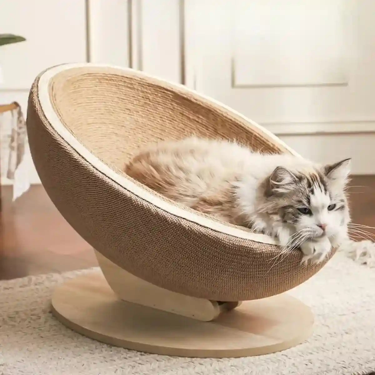 Luxury Eggshell Cat Scratching Nest for Lounging and Claw Care