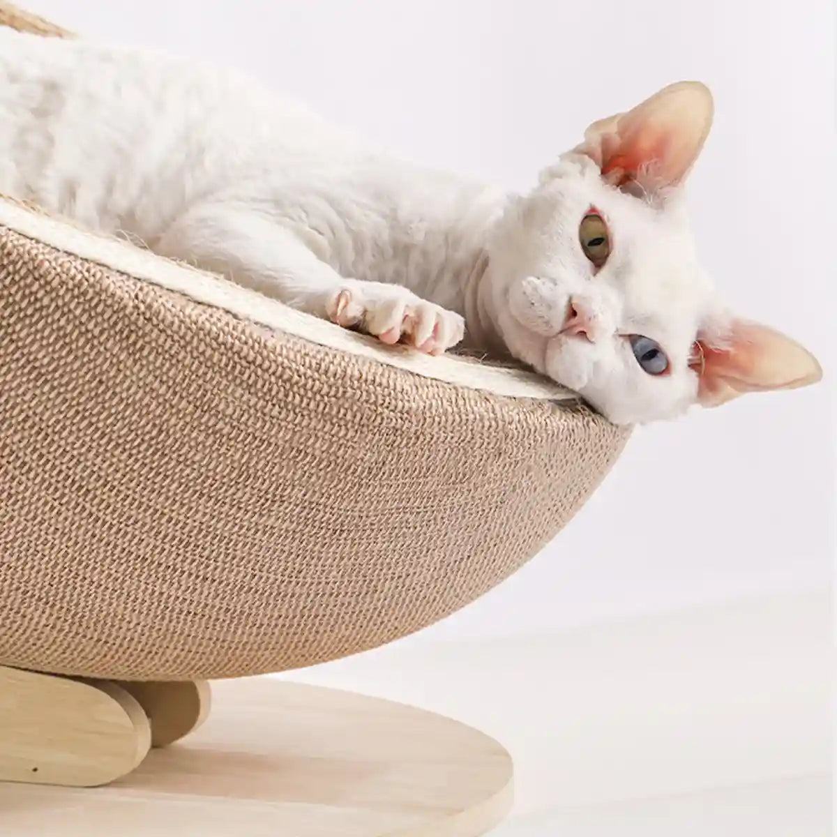 Luxury Eggshell Cat Scratching Nest for Lounging and Claw Care