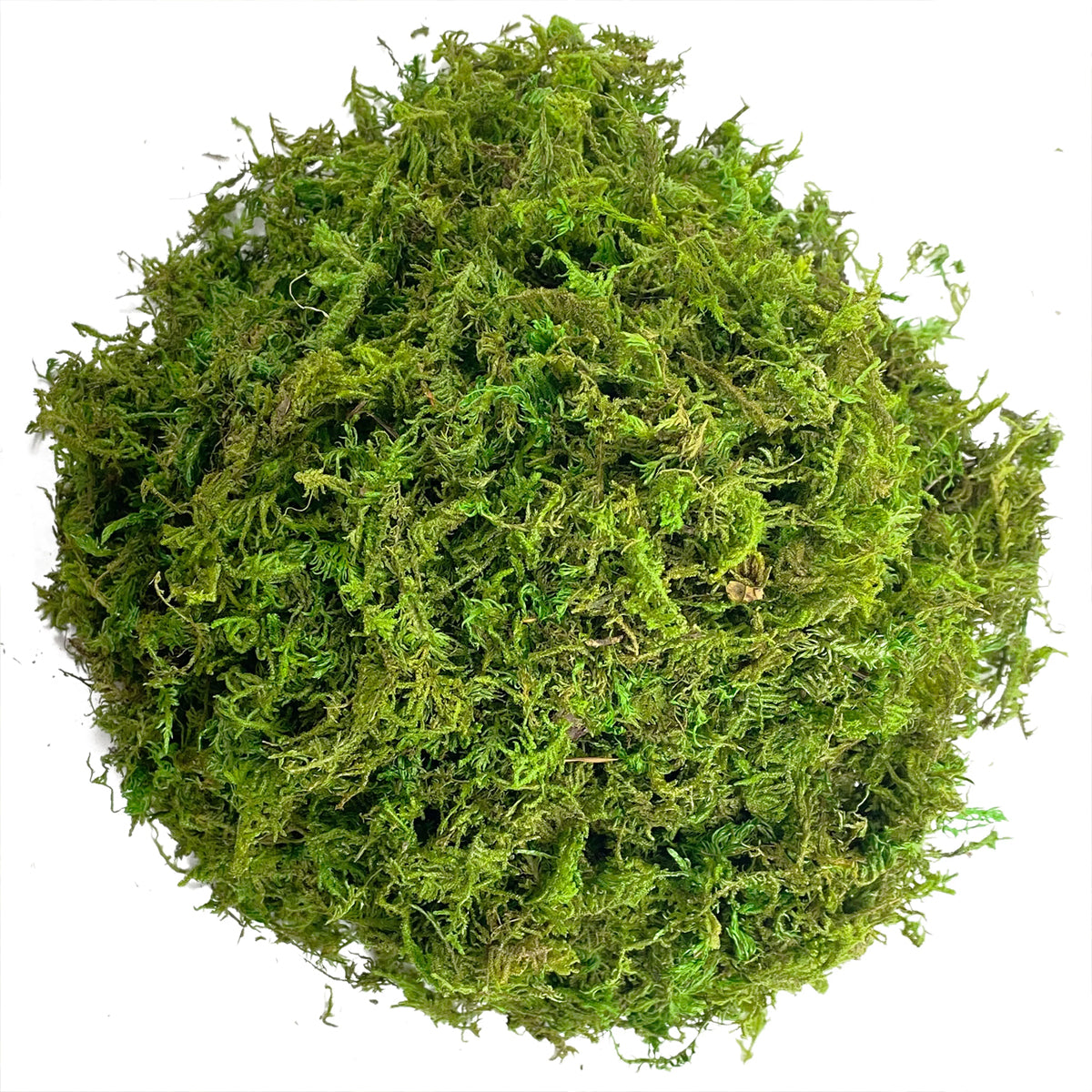 150g Compressed Natural Moss Mat Substrate