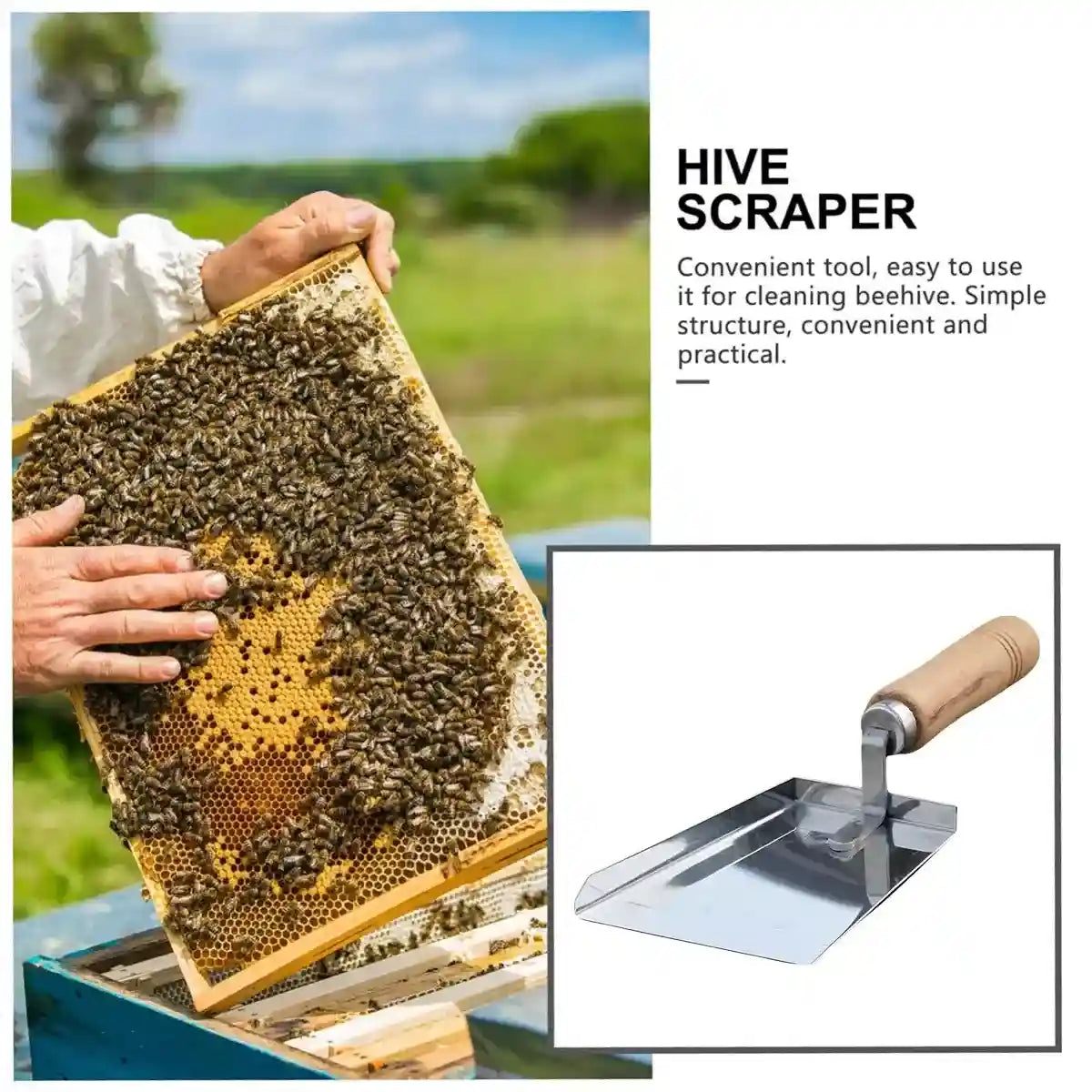 Stainless Steel Tool for Beehive Cleaning with Wooden Handle