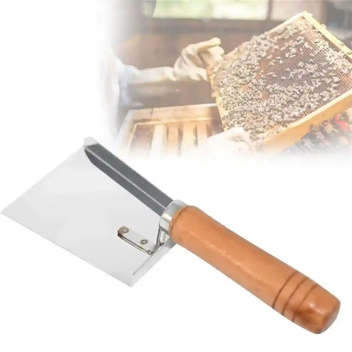 Stainless Steel Tool for Beehive Cleaning with Wooden Handle