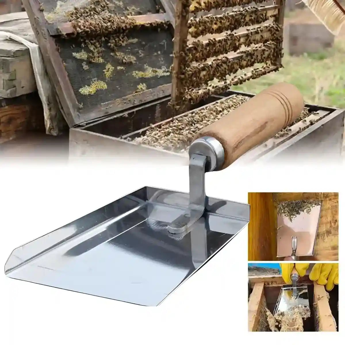 Stainless Steel Tool for Beehive Cleaning with Wooden Handle