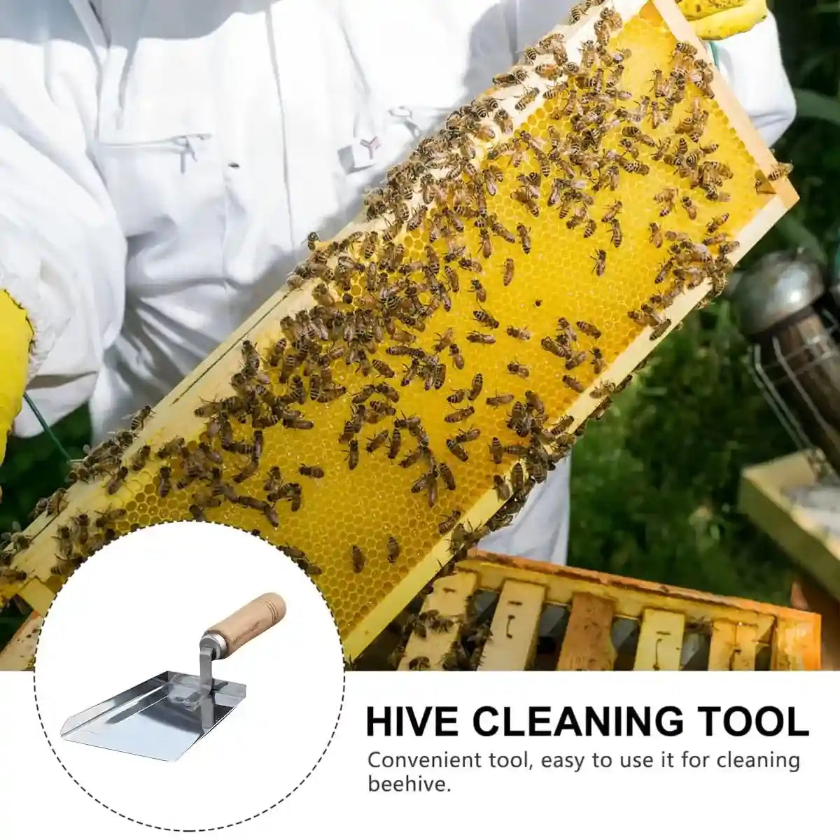 Stainless Steel Tool for Beehive Cleaning with Wooden Handle