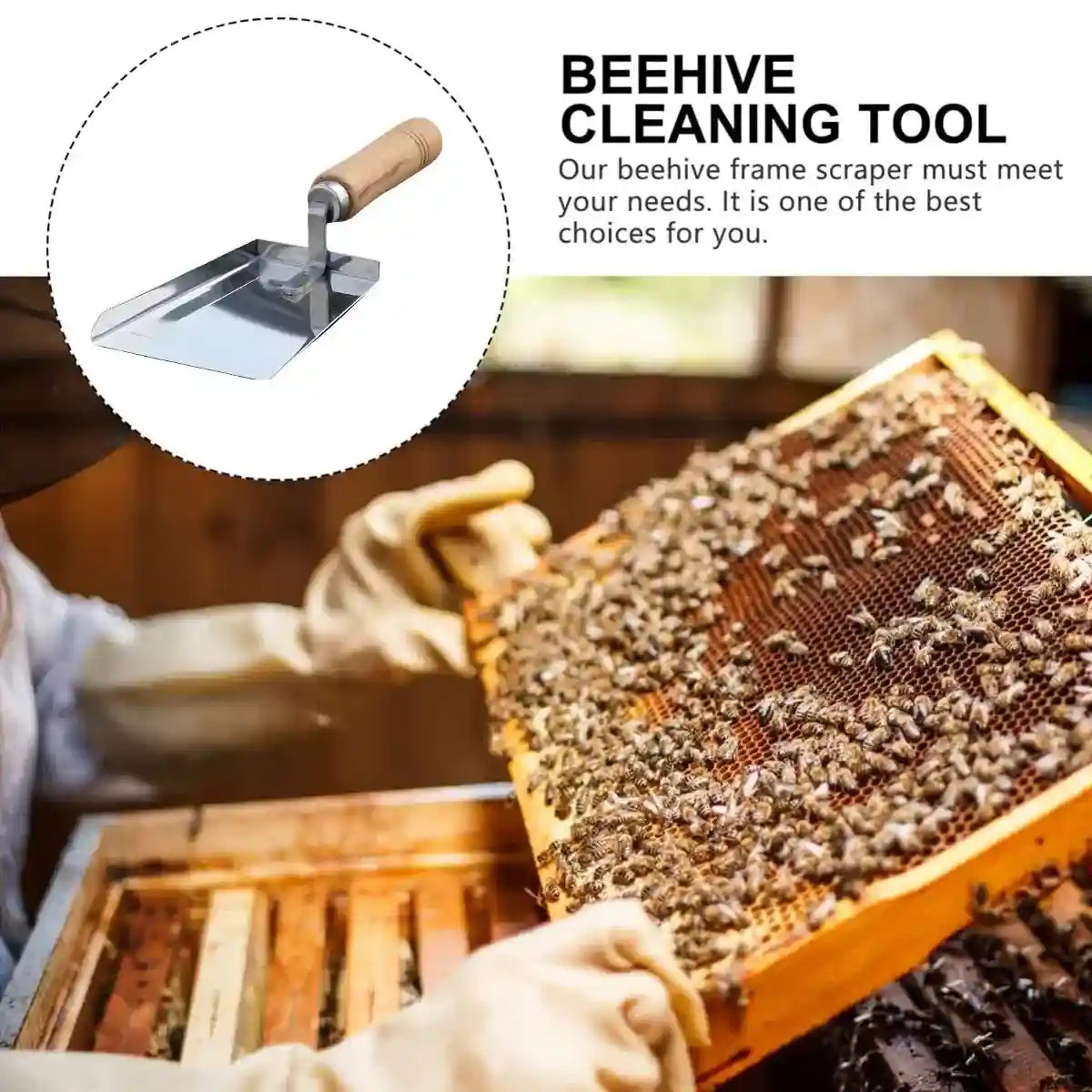 Stainless Steel Tool for Beehive Cleaning with Wooden Handle