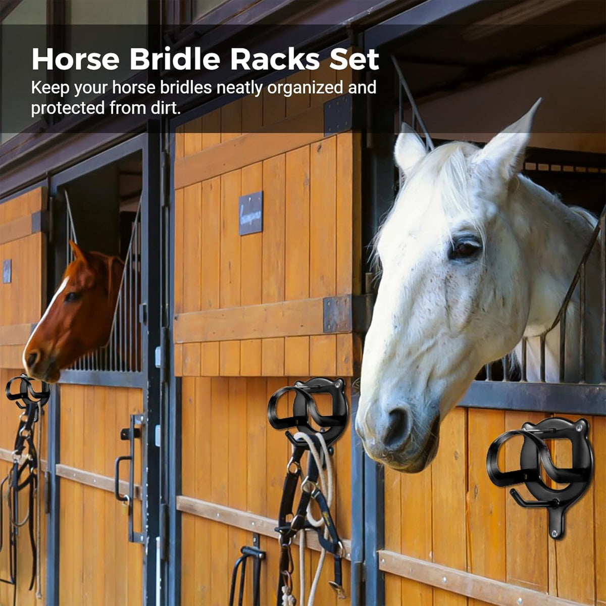 Horse Bridle Rack Wall Mount