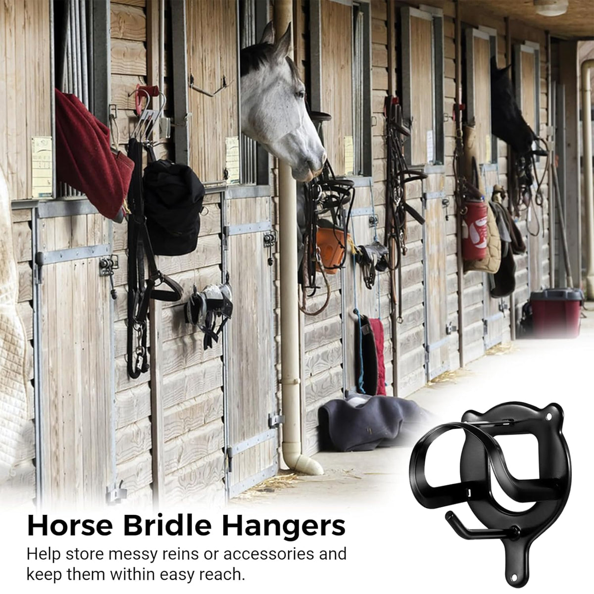 Horse Bridle Rack Wall Mount