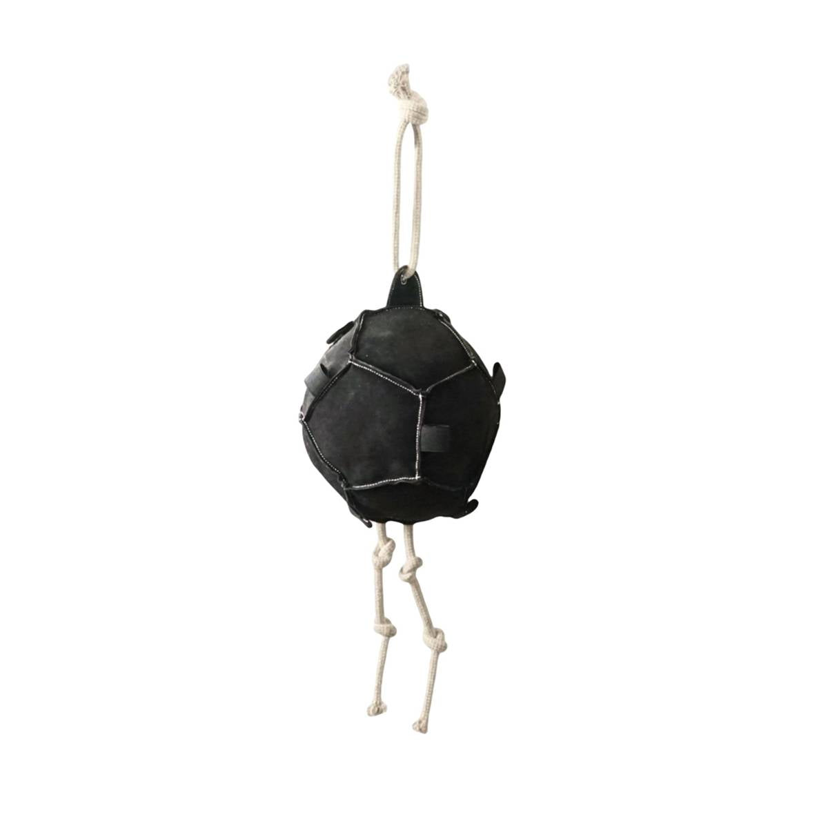 Interactive Carrot Training Feeding Grab Ball Black Interactive Toy Horse Supplies