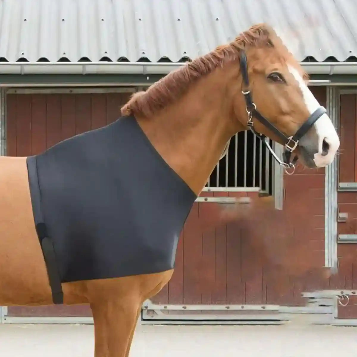 Breathable Horse Vest for Summer Anti-Mosquito Protection with Velcro Closure
