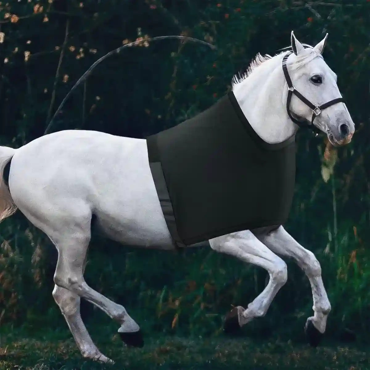Breathable Horse Vest for Summer Anti-Mosquito Protection with Velcro Closure