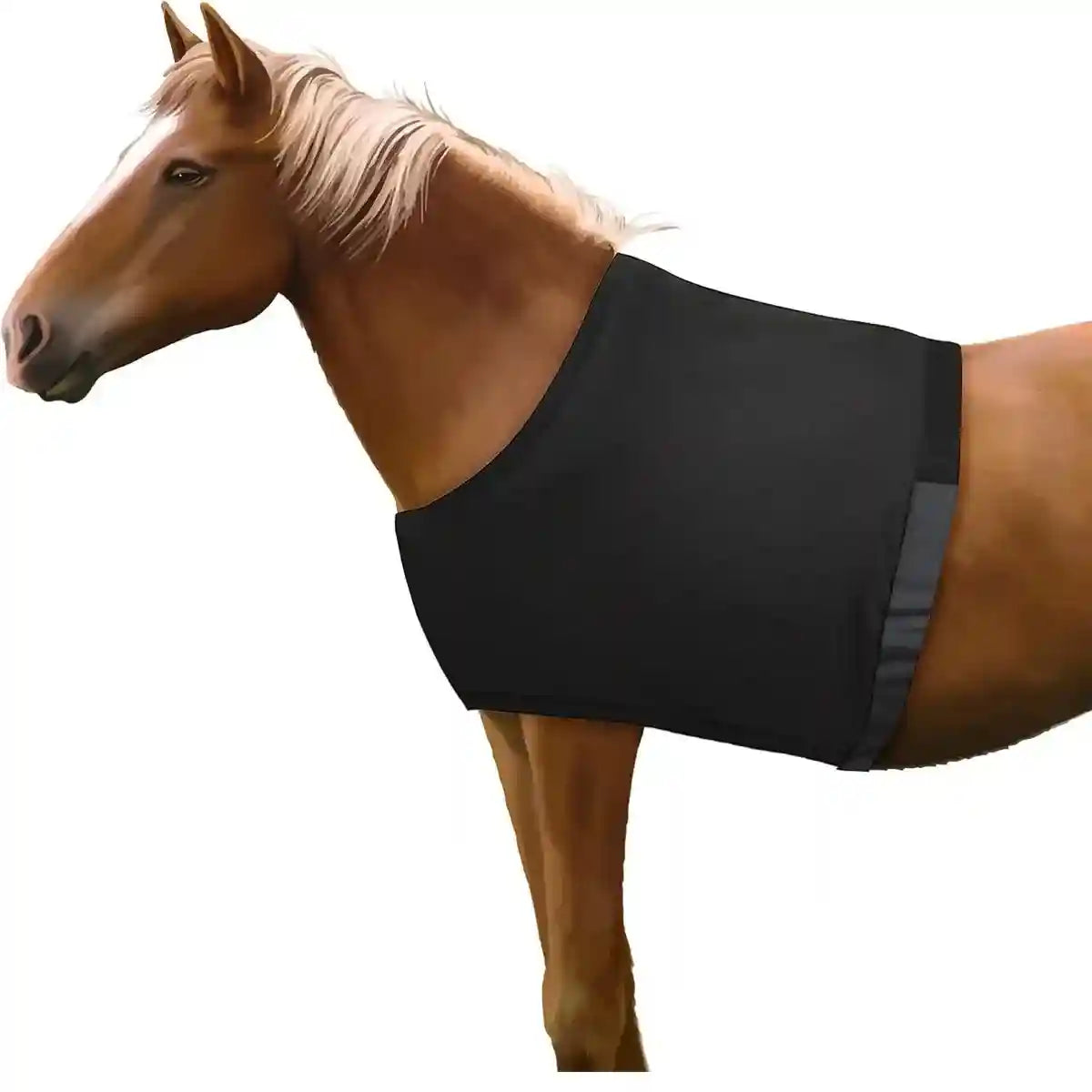 Breathable Horse Vest for Summer Anti-Mosquito Protection with Velcro Closure