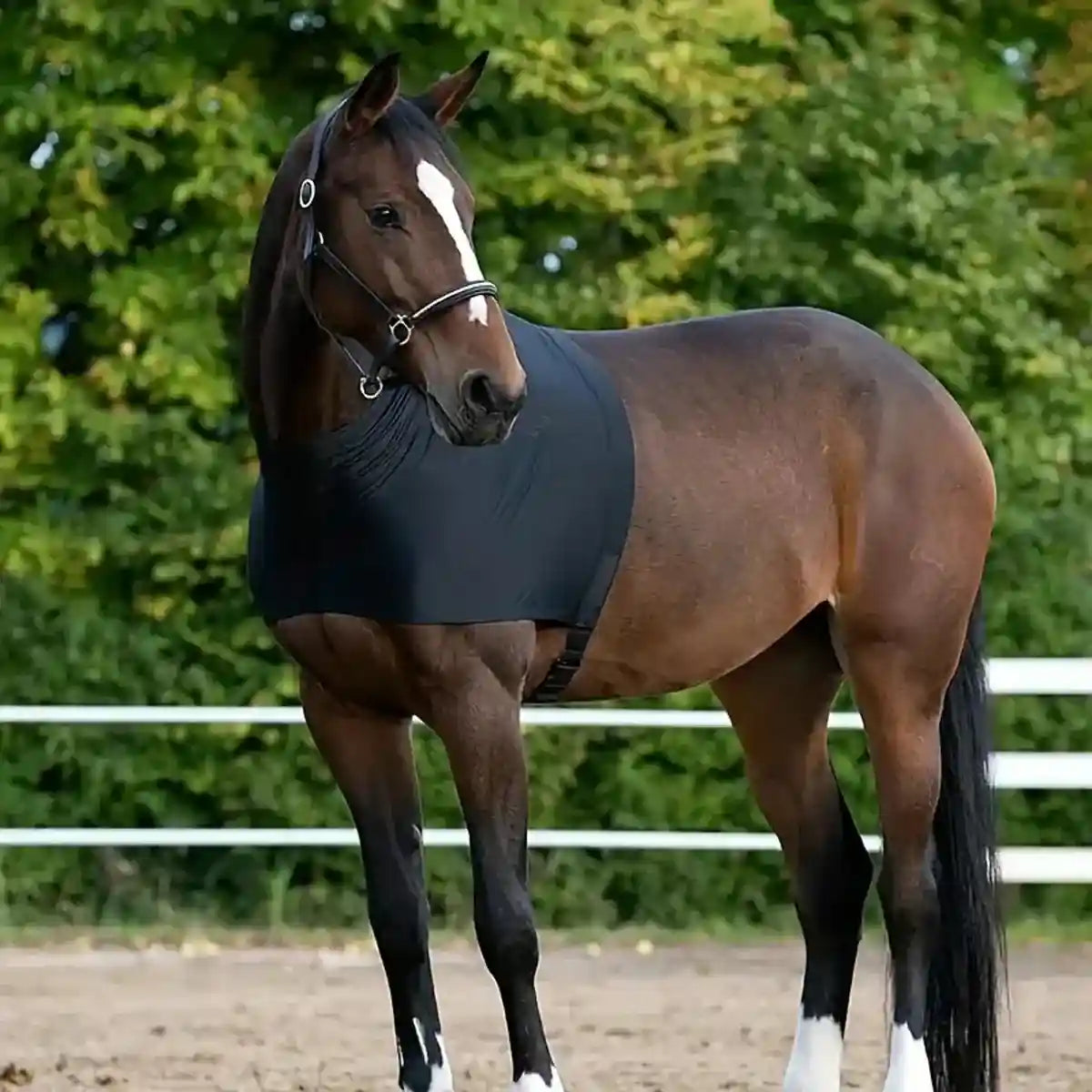 Breathable Horse Vest for Summer Anti-Mosquito Protection with Velcro Closure