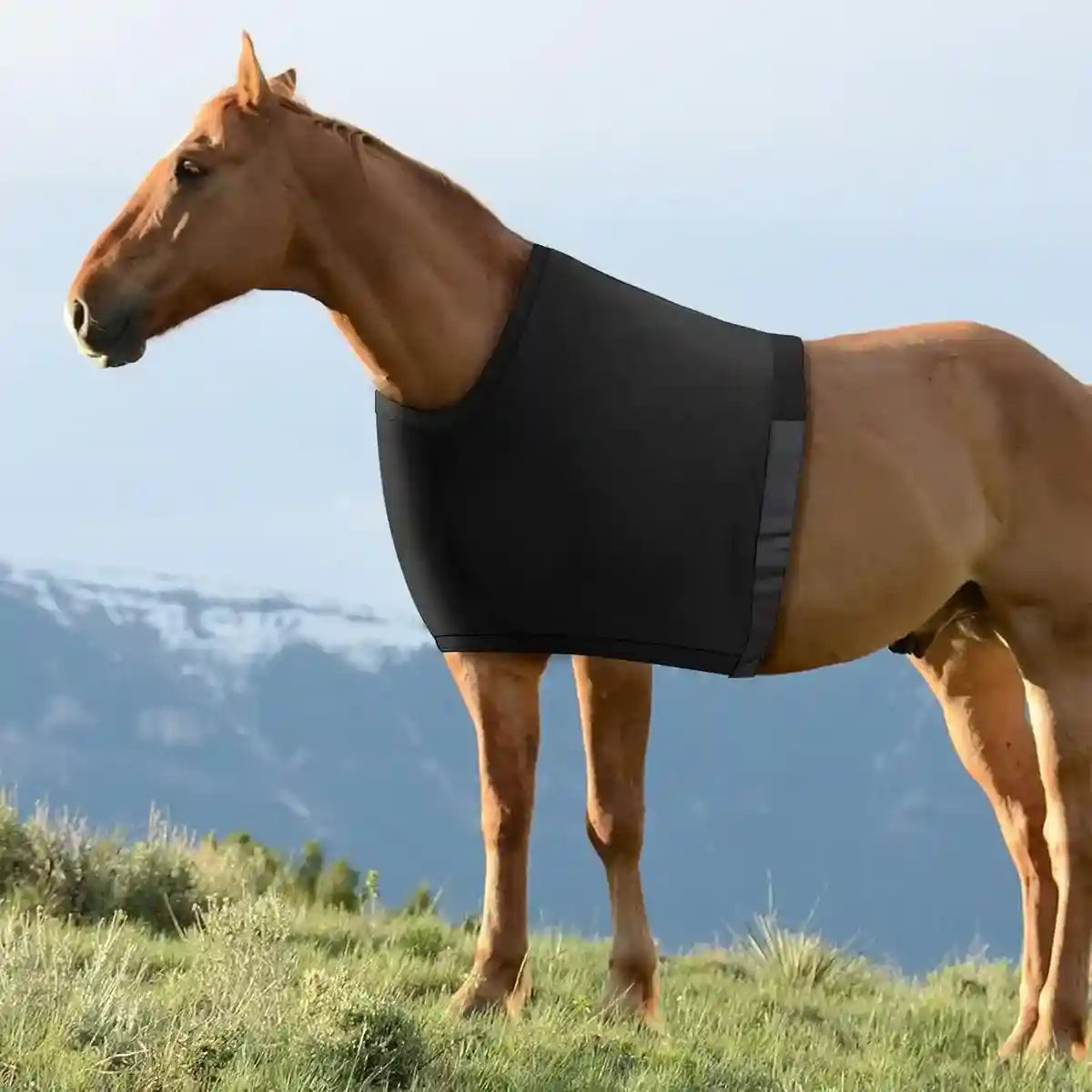 Breathable Horse Vest for Summer Anti-Mosquito Protection with Velcro Closure