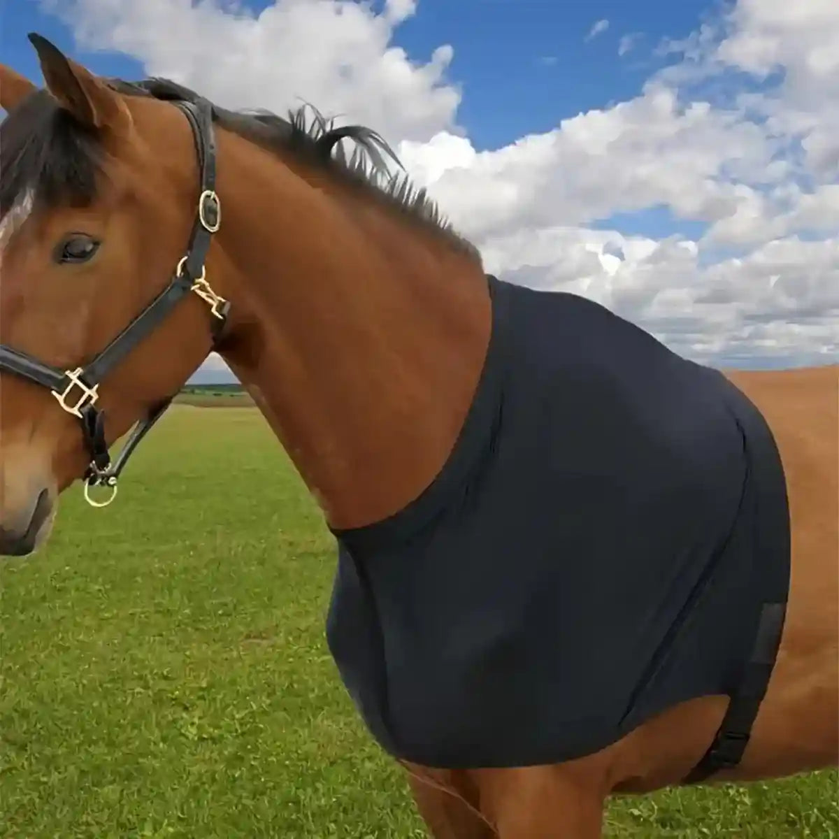 Breathable Horse Vest for Summer Anti-Mosquito Protection with Velcro Closure