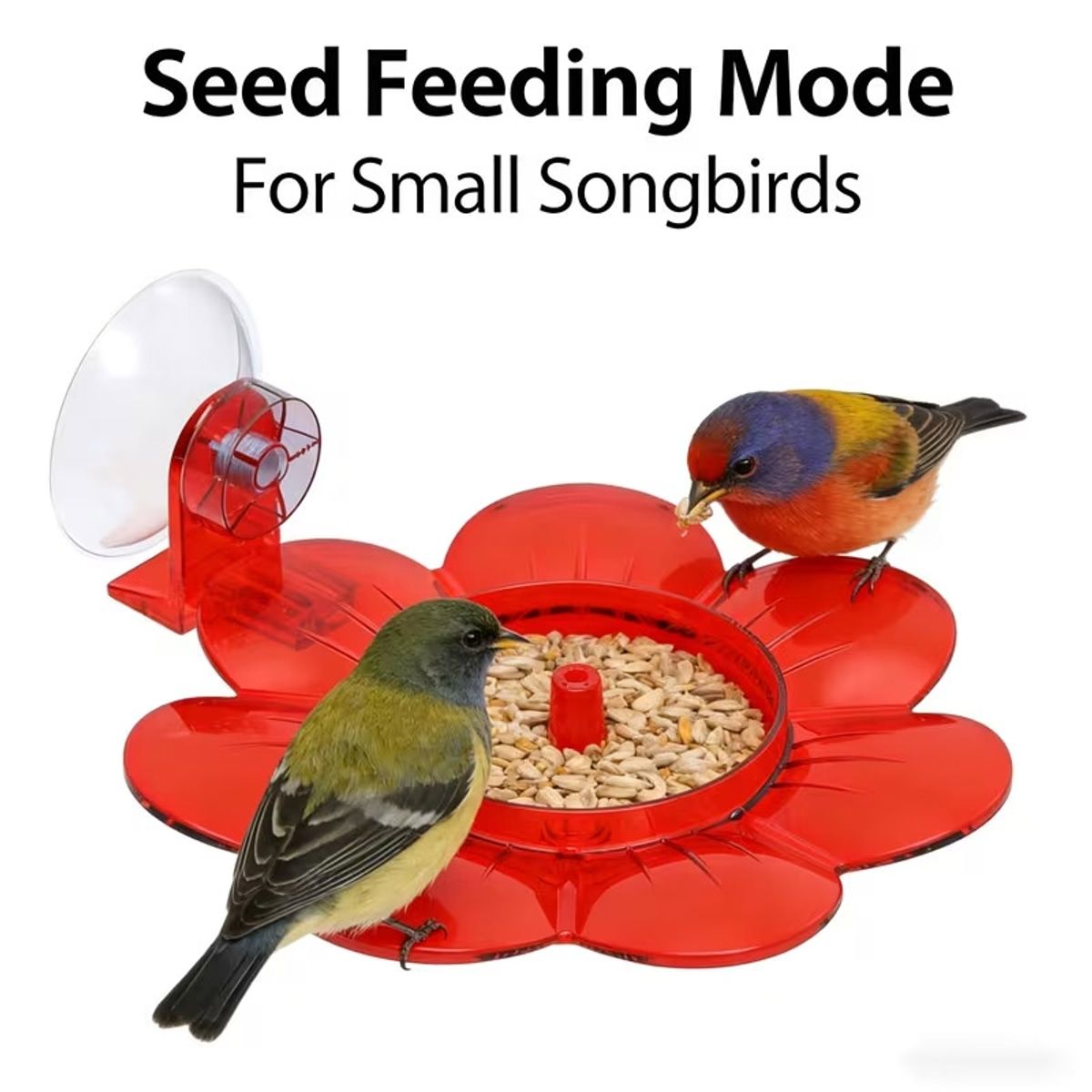 Red 2 in 1 Hanging Bird Feeder with Suction Cup