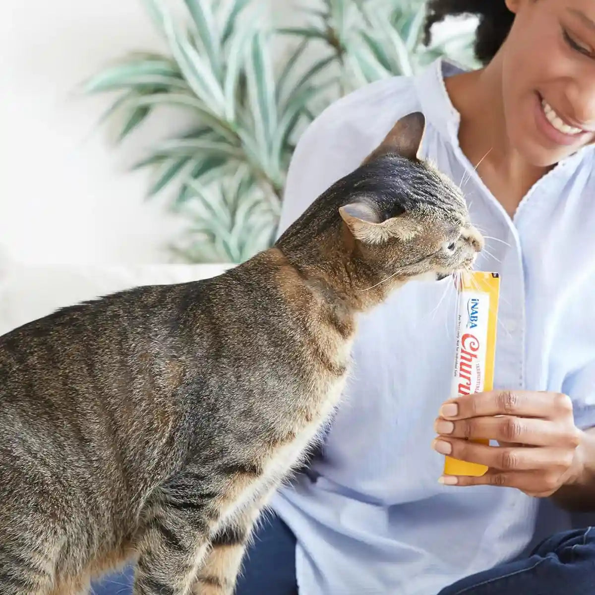 INABA Churu Chicken Variety Box Cat Treats