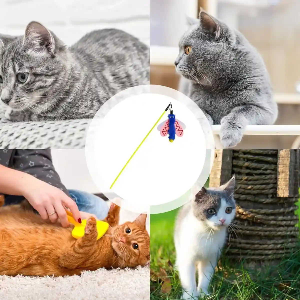 Interactive Feather Teaser Wand