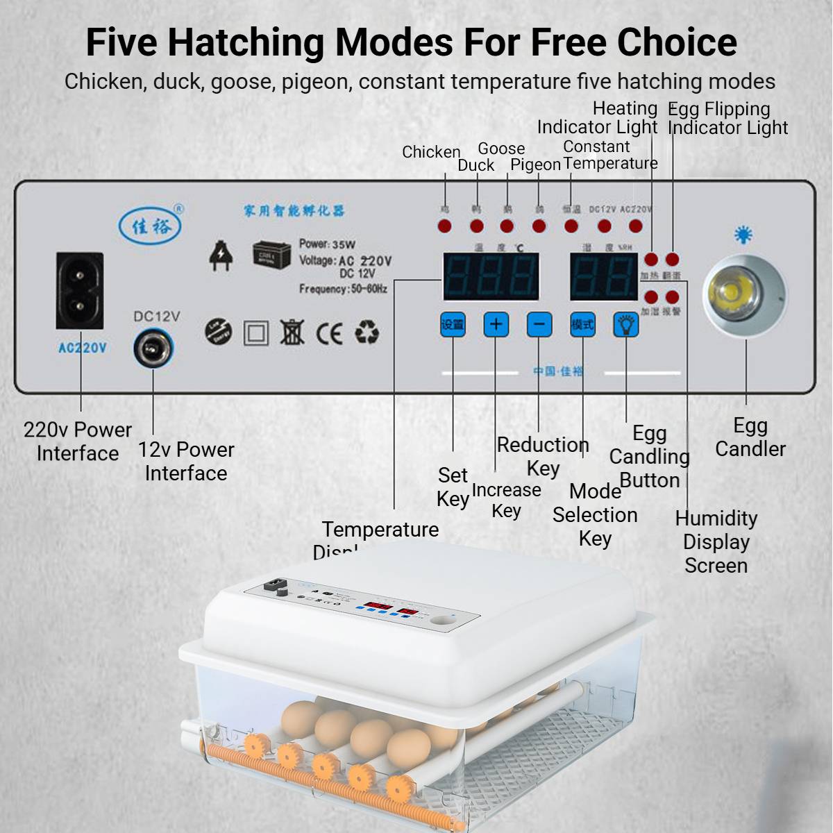 24 Eggs Intelligent Egg Incubator With Automatic Turning