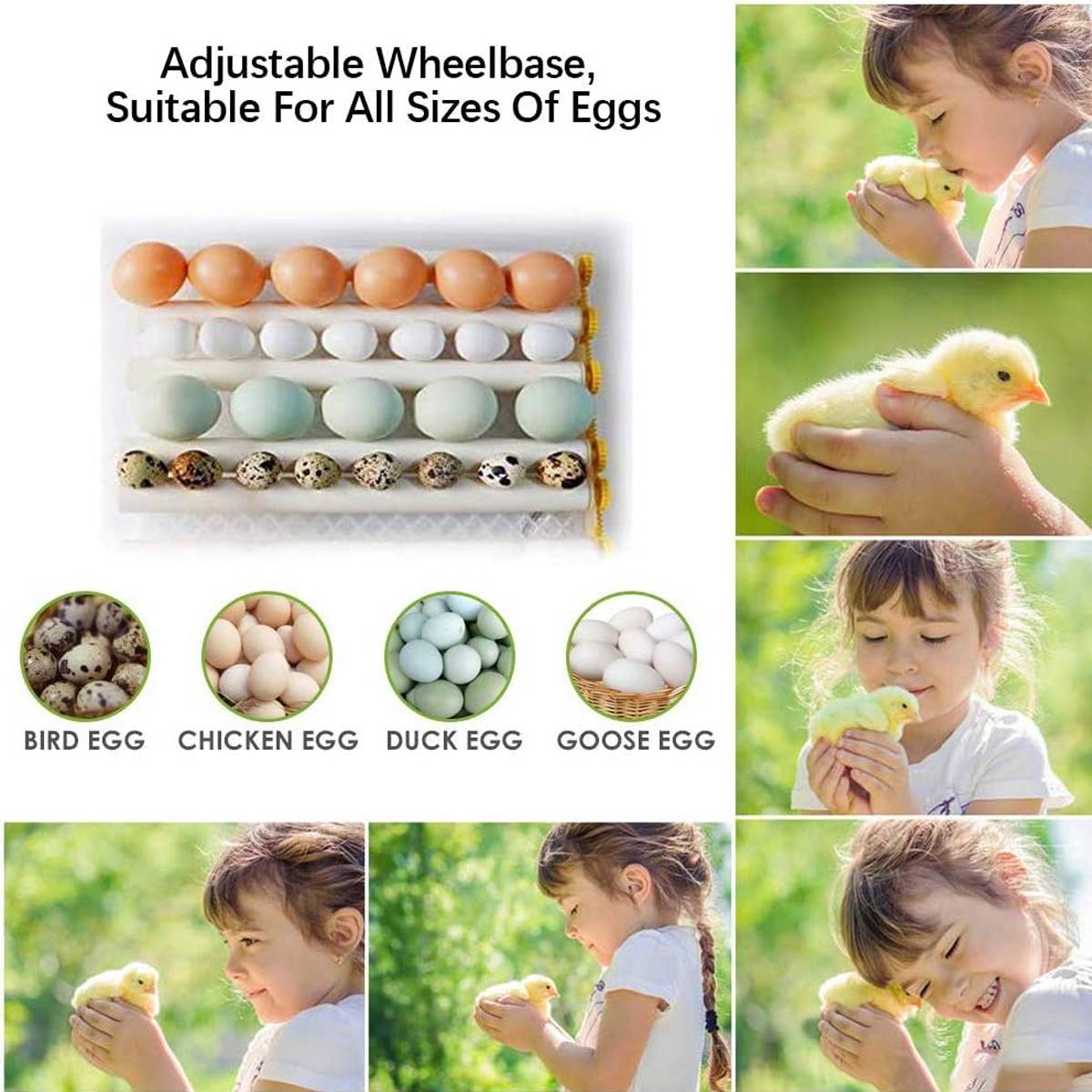 24 Eggs Intelligent Egg Incubator With Automatic Turning