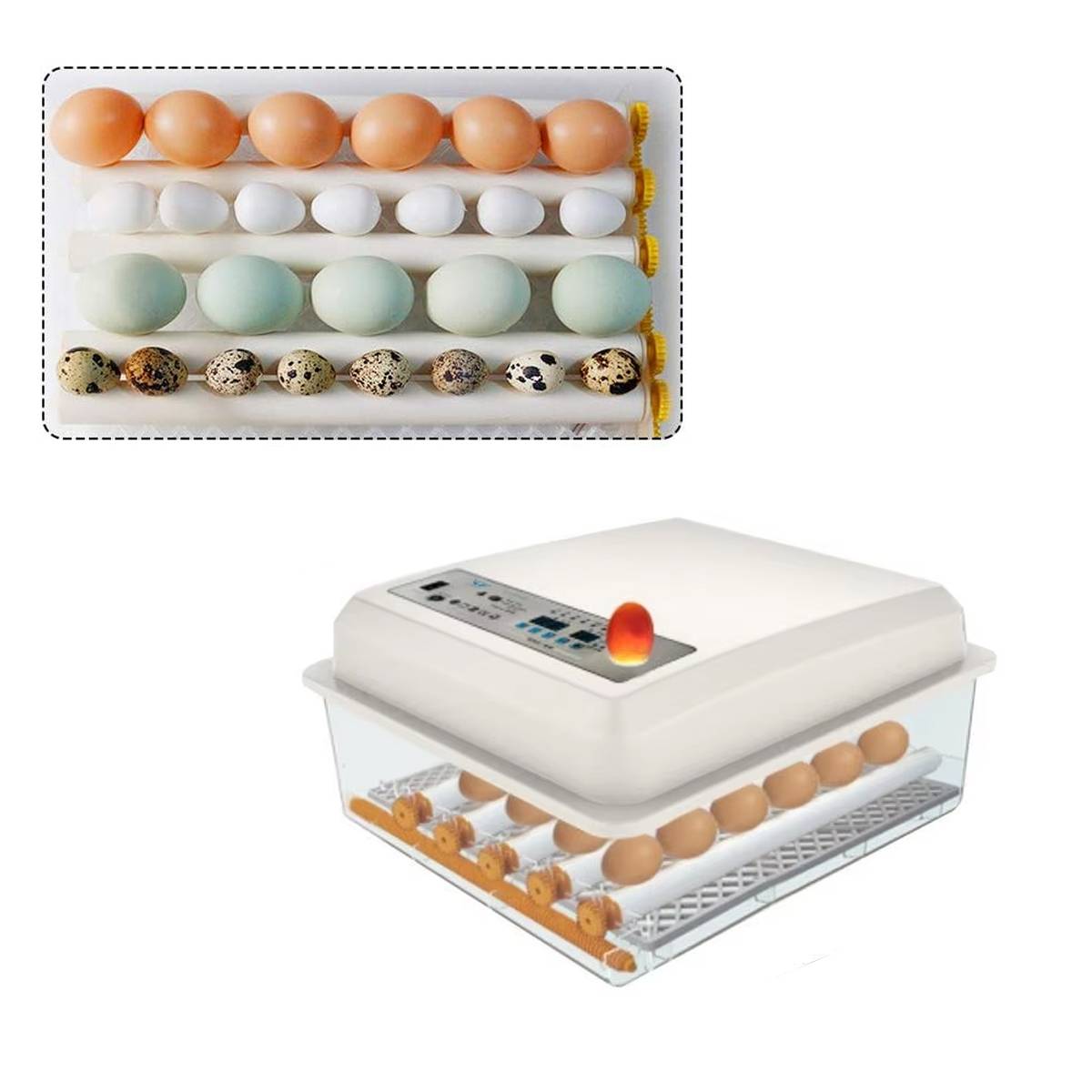 24 Eggs Intelligent Egg Incubator With Automatic Turning