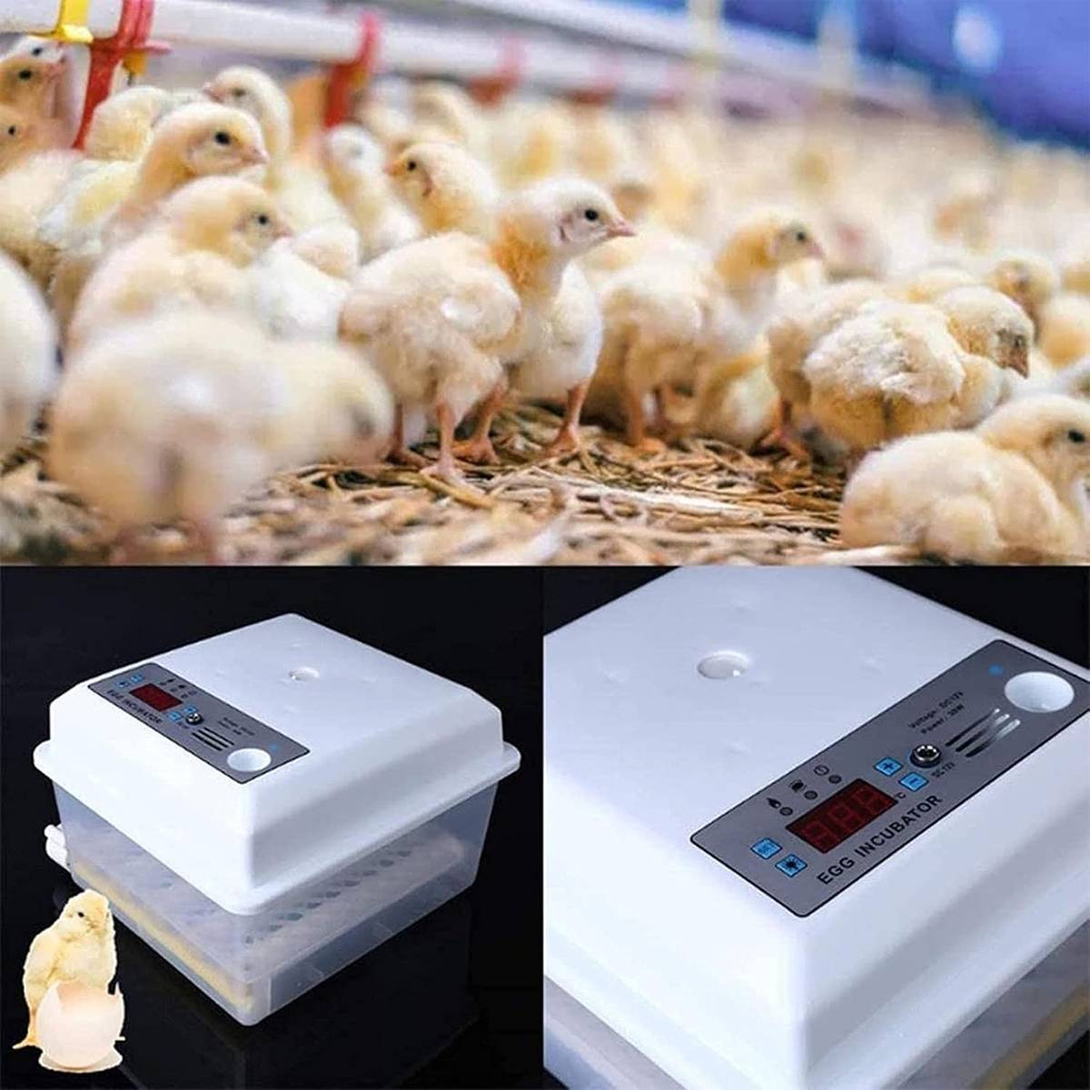 24 Eggs Intelligent Egg Incubator With Automatic Turning