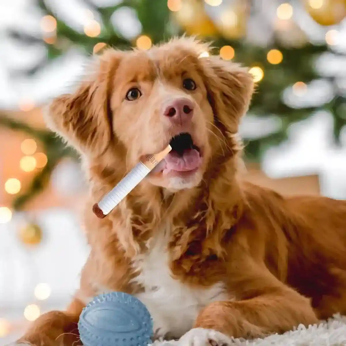 Interactive Dog Toy Set Giggle Sound Toys with Treat Pouch