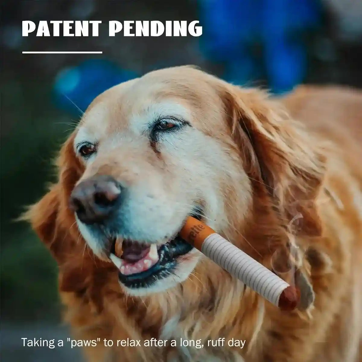 Interactive Dog Toy Set Giggle Sound Toys with Treat Pouch