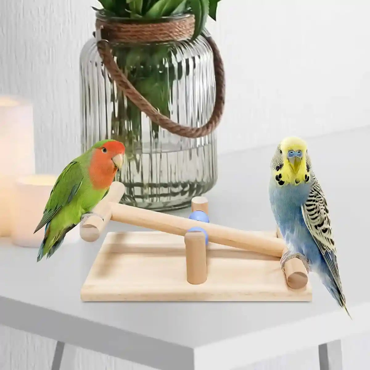 Parrot Interactive Seesaw Toy Wooden Bird Claw Grinding Toy