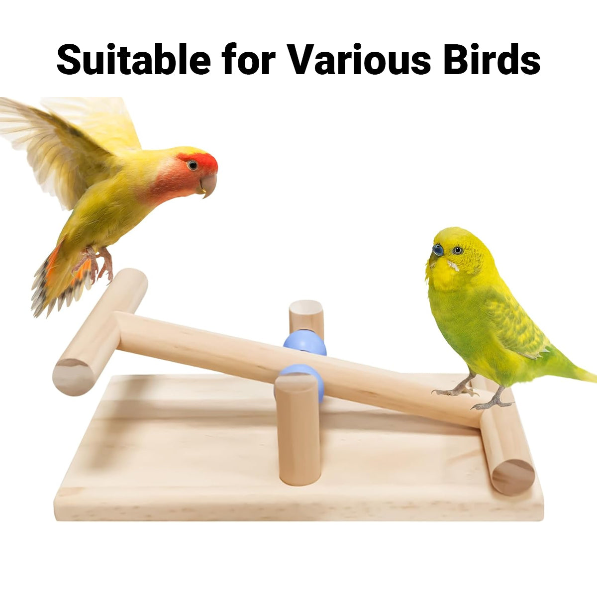 Parrot Interactive Seesaw Toy Wooden Bird Claw Grinding Toy