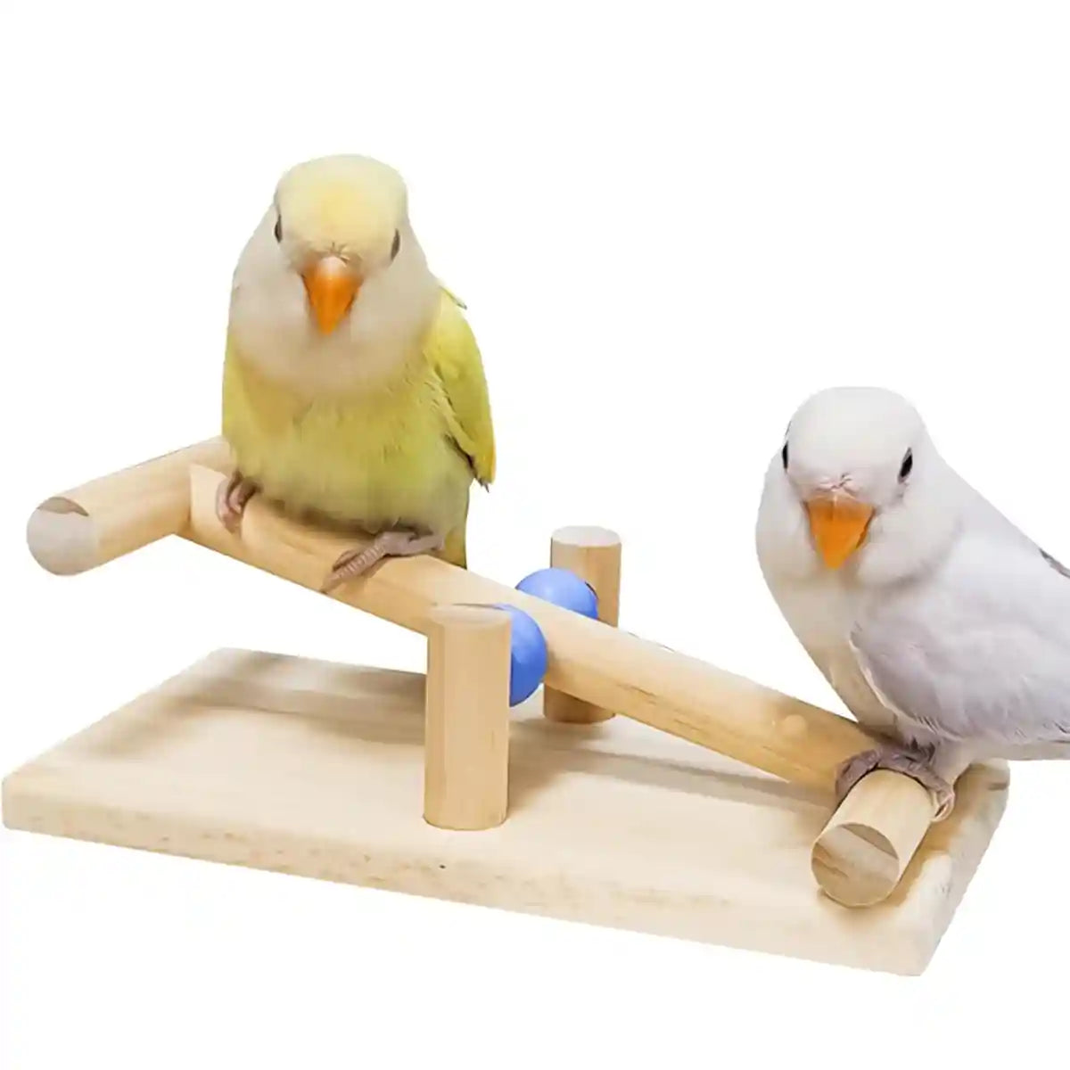 Parrot Interactive Seesaw Toy Wooden Bird Claw Grinding Toy