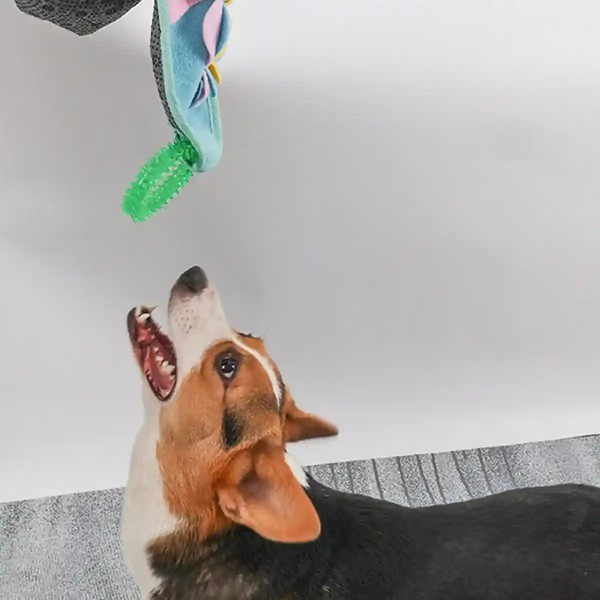 Dog Anxiety Vest with Hood Calming Jacket for Stress Relief