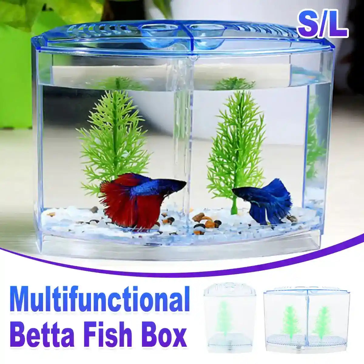 clear acrylic betta fish tank with divider for two fish