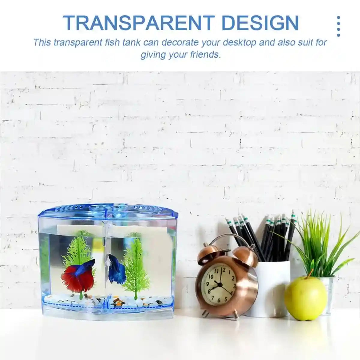 Dual Compartment Acrylic Betta Fish Tank Desktop Aquarium Display