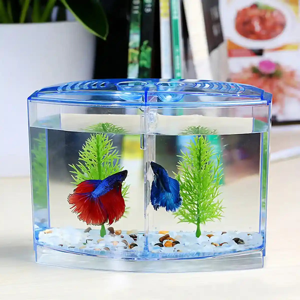 Dual Compartment Acrylic Betta Fish Tank Desktop Aquarium Display