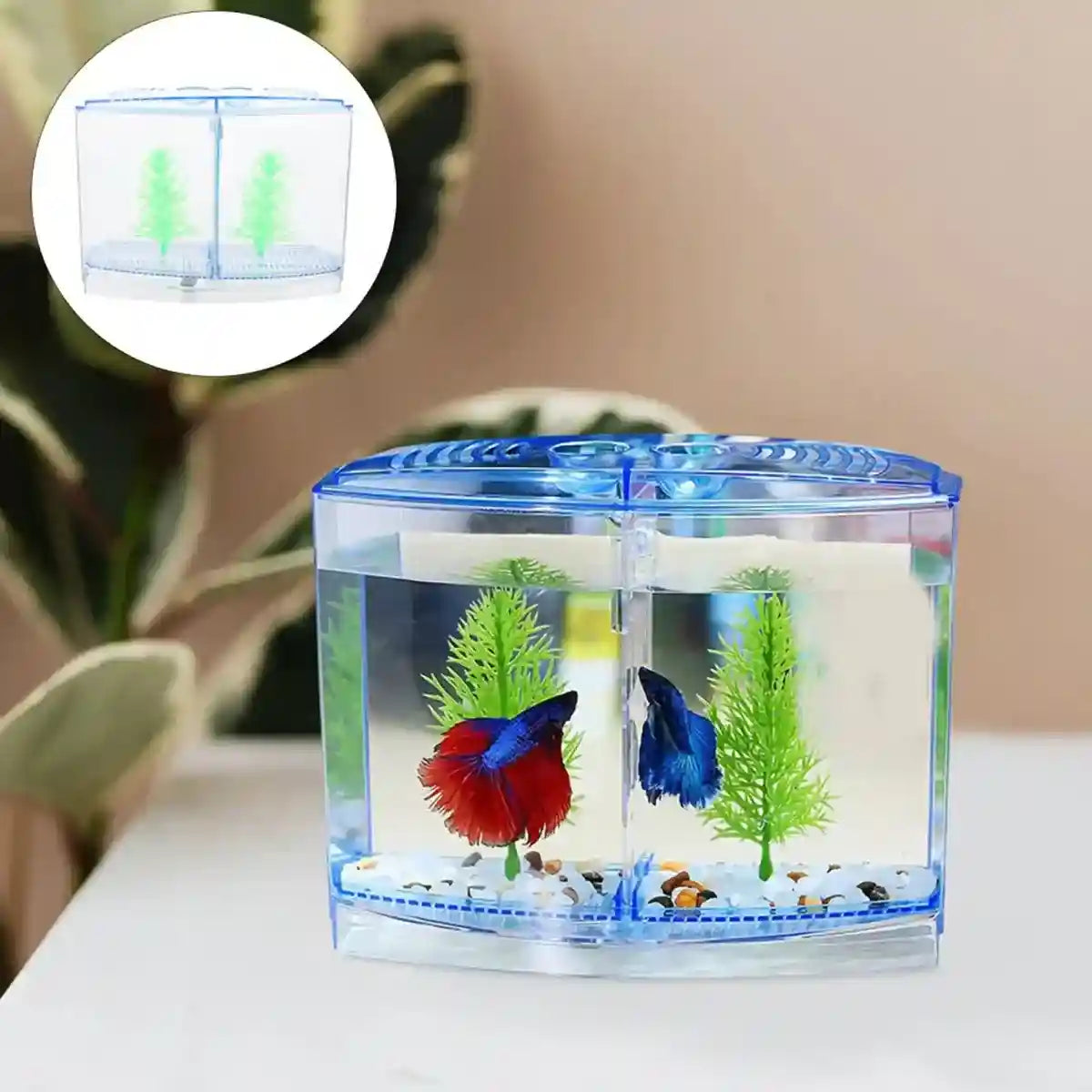 Dual Compartment Acrylic Betta Fish Tank Desktop Aquarium Display
