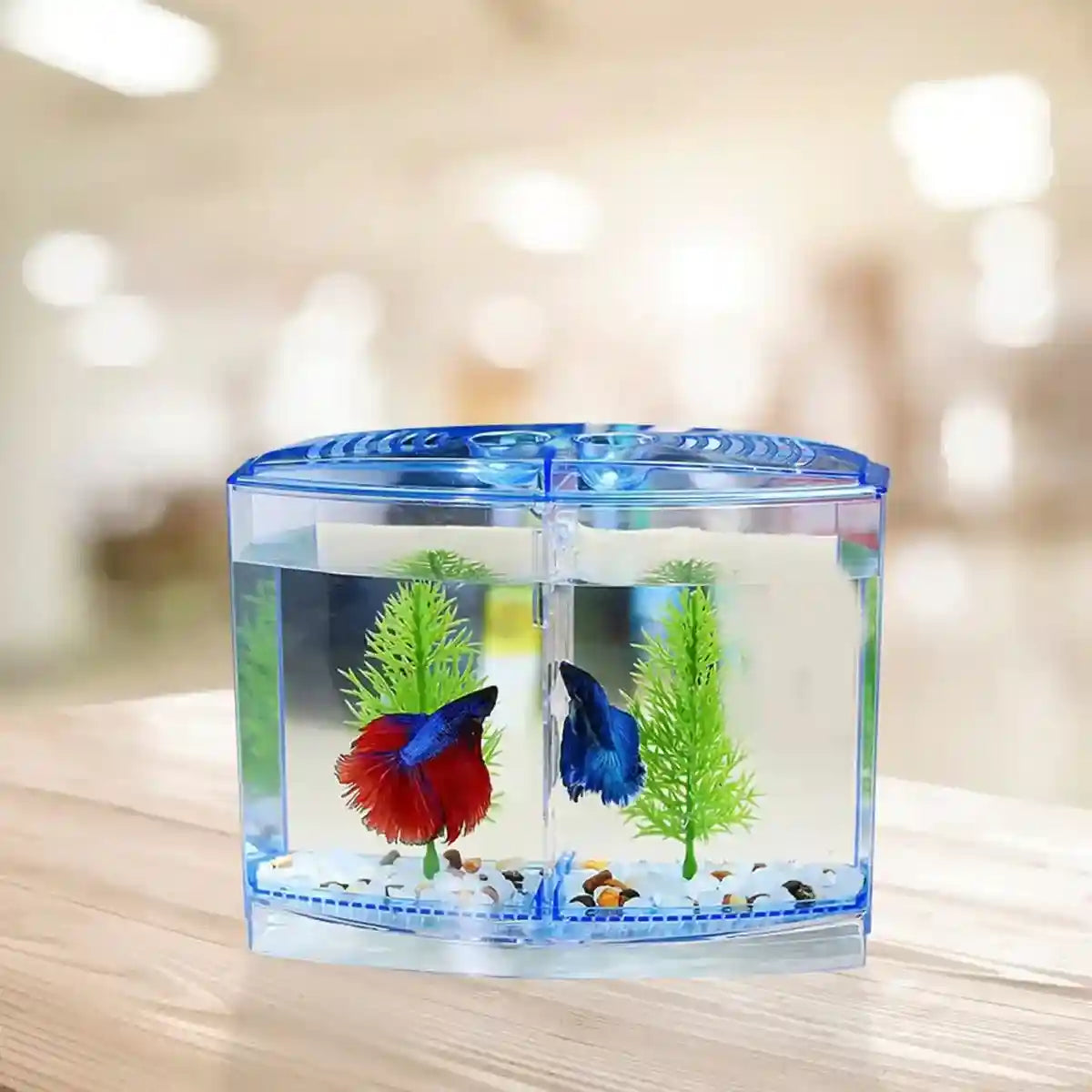 Dual Compartment Acrylic Betta Fish Tank Desktop Aquarium Display