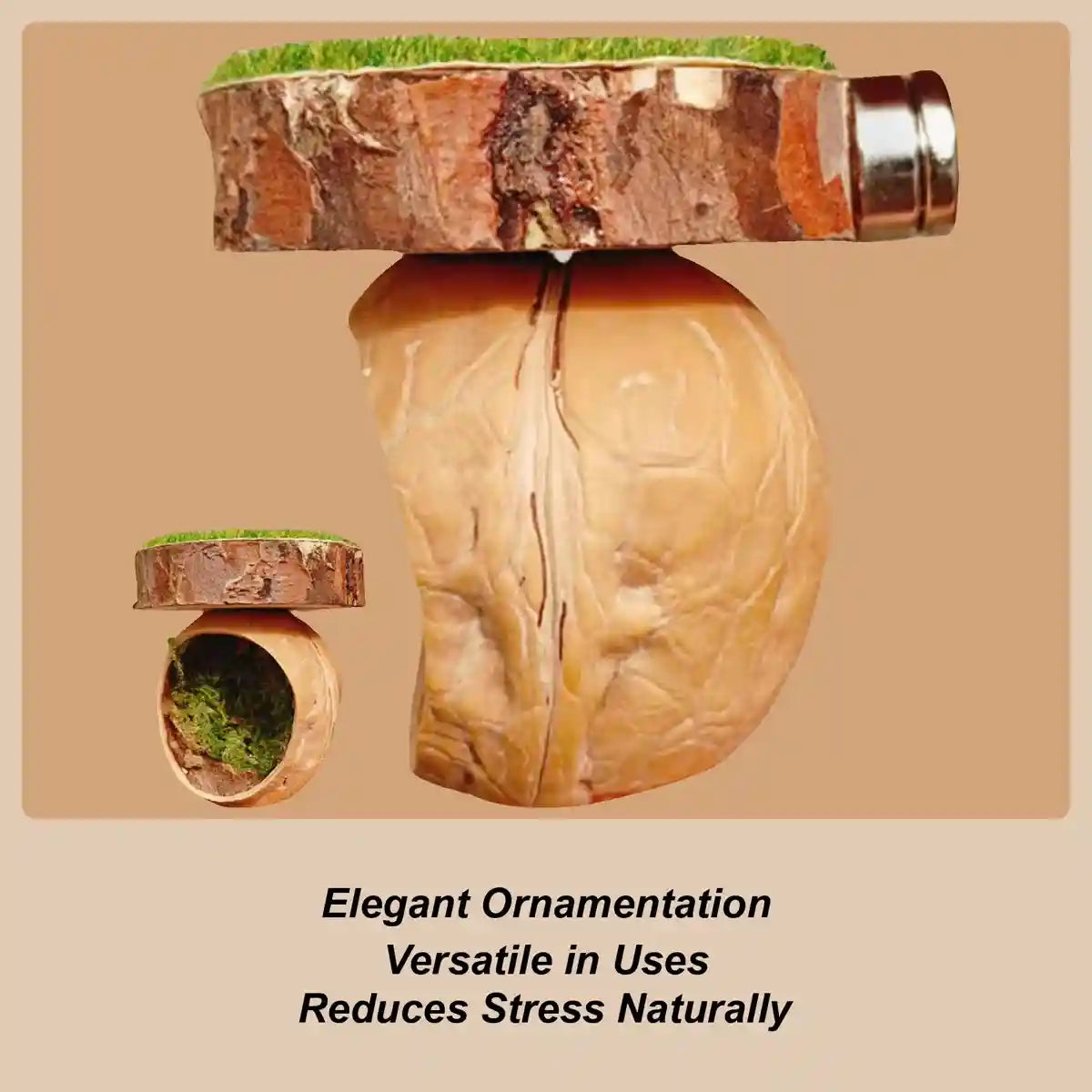 Magnetic Walnut Spider Hideout Natural Reptile Habitat Ornament